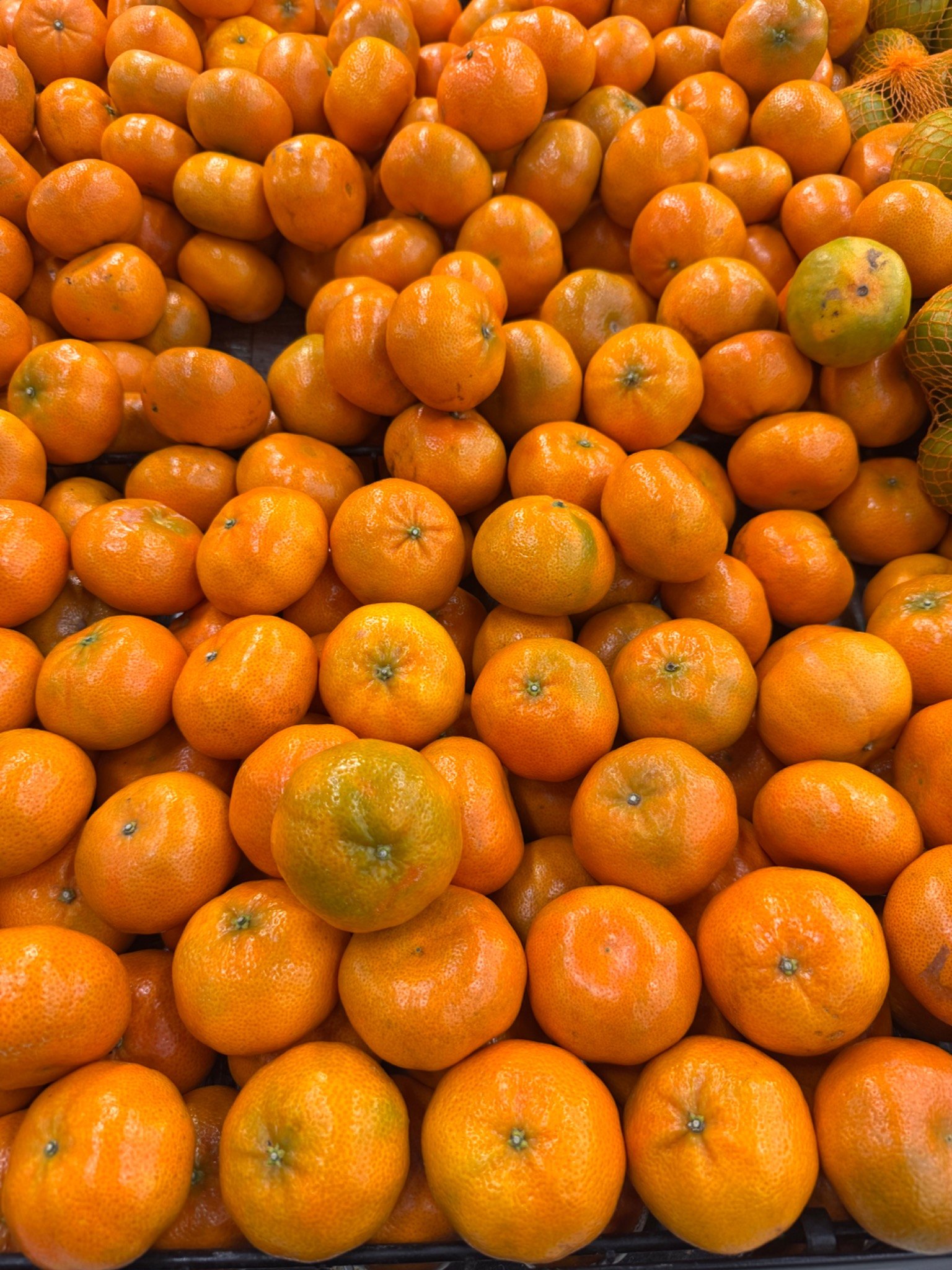 Productos frescos Terra Market